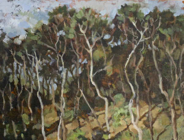 Kawau (SOLD)